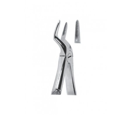 Extracting Forceps